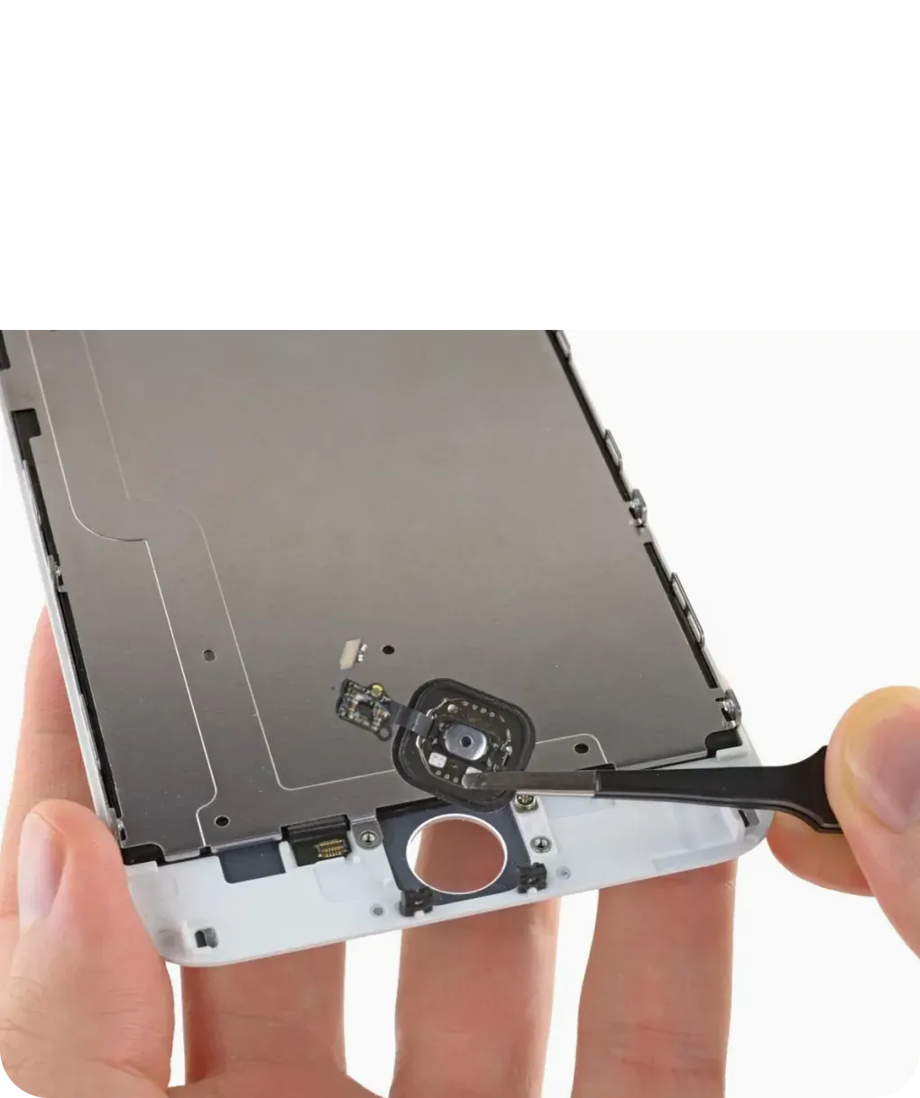 Основная CareStoreDevices