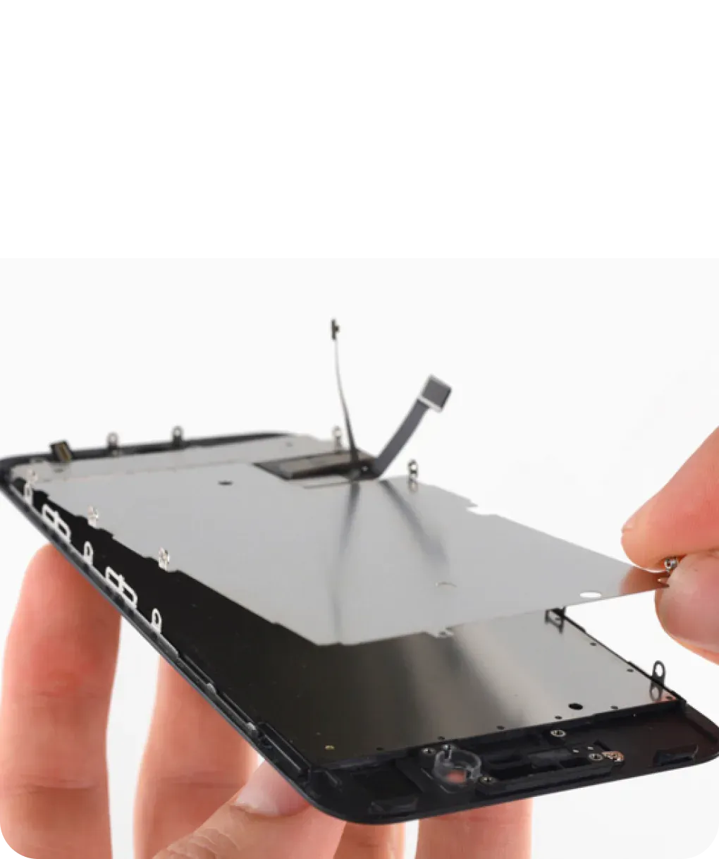 Основная CareStoreDevices