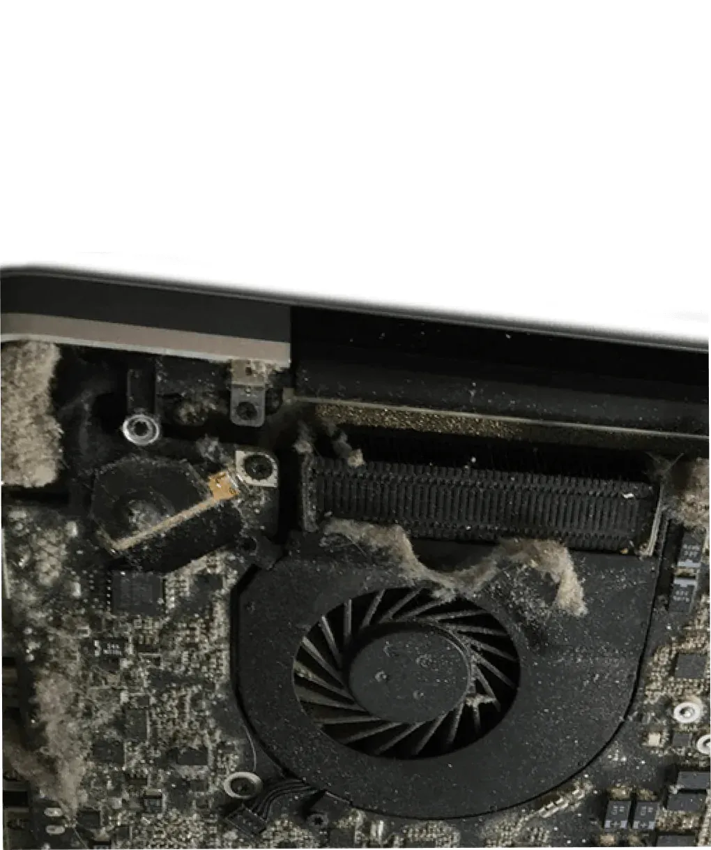 Чистка от пыли MacBook